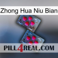 Zhong Hua Niu Bian 14